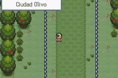 Llegada a Olivine City desde la Ruta 39